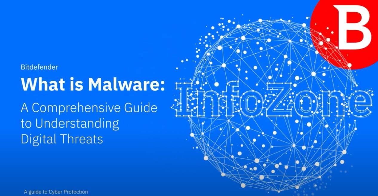 Was bewirkt Malware?